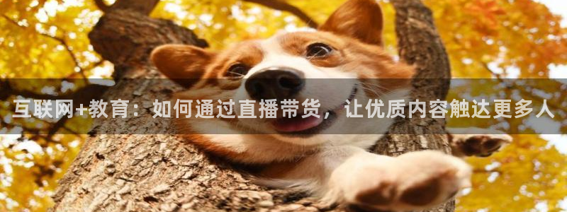 nba在线直播观看直播看球吧：互联网+教育：如何通过直播带货，让优质内容触达更多人